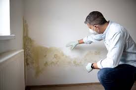 Crivitz, WI Mold Removal Company